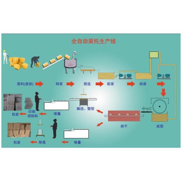 Buy Paper Egg Tray Production Line, Egg Carton Making Machine, mold made to customer request at wholesale prices