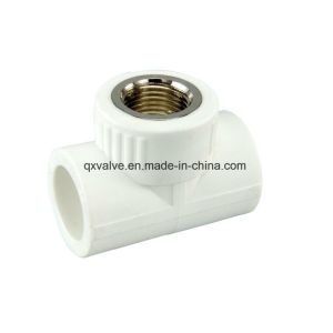 Forged PP-R Pipe Fitting Coupling Elbow Tee Union and More for Versatile