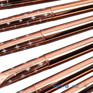 Aluminum Ferrules Poly Bag 10 Piece Makeup Brush Set