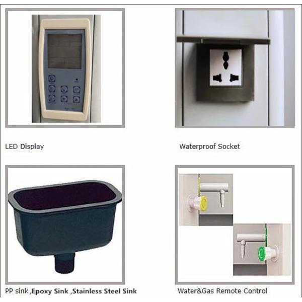 Cartmay Lab Furniture Supplier Control Panel Vented 8Ft Fume Hood With Sink Faucet