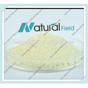 High Quanlity PS soybean extract Phosphatidylserine 20%