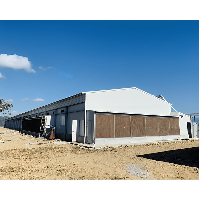 Prefabricated Steel Structure Layer Broiler Chicken Farm Building