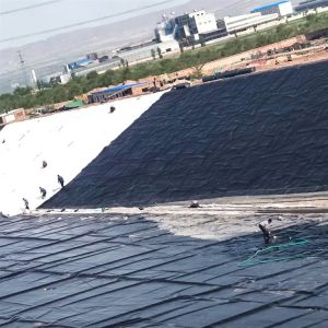 Double Smooth/Double Texture Geomembrane Tank HDPE Sheet 0.5mm Thick Plastic