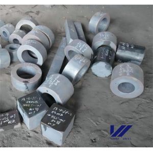 Ring Forgings Steel Pipe Die Ring Forging Different Grades