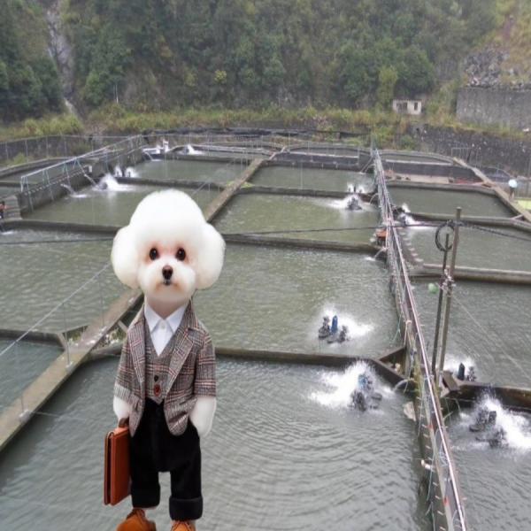 Made Blowing Machine Producing Waterproof HDPE Geomembrane with 100% Virgin