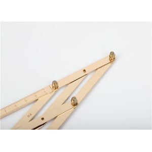 Professional Tattoo Accessories , 4 Prong Stainless Steel Golden Mean Caliper