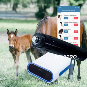 Quality Portable  Horse Treatment Ems Shockwave Machine With Electromagnetic Generator for sale