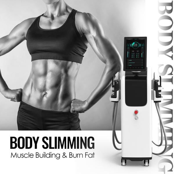 EMS Fat Removal Achieve Your Ideal Body Shape With Online Training And EMS