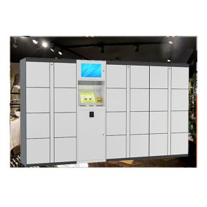 Digital Smart Parcel Delivery Lockers