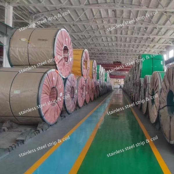 Stainless Steel Strips 301 304 for Springs in Various Tempers