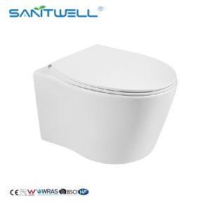 Chaozhou Popular Styles Concealed Cistern Antibacterial Rimless Wall Flush