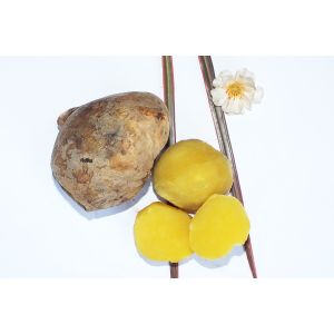 IQF Frozen Peeled Whole Sweet Potato, variety of 'Shengli 100'