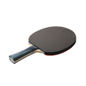 Carbon Fiber Ayous 7 Layer Table Tennis Rackets Reverse Rubber with Technology