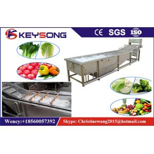 Rooted Plant Fruit And Vegetable Processing Machinery Washing Equipment Large