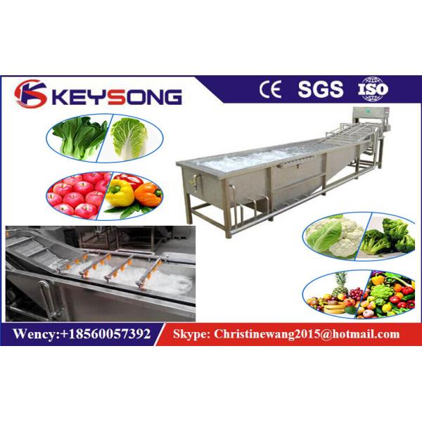 Rooted Plant Fruit And Vegetable Processing Machinery Washing Equipment Large