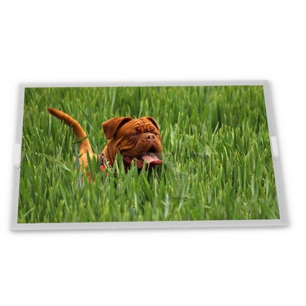 High Resolution 6.4-Inch LQ64D343 WLED LCD Display Module Specific Application