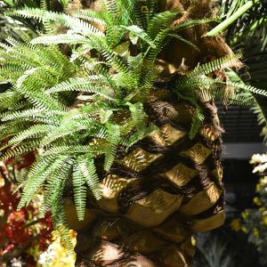 Custom Artificial Date Tree For Theme Park Hotels Easy To Install Low Maintenanc