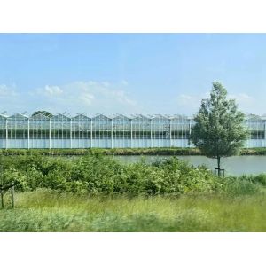 Transparent Glass Enclosed Plant Greenhouse Wind Resistance and Sustainability