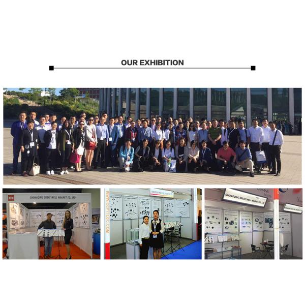 Permanent Magnetic Coupling for magnetic drivn pump