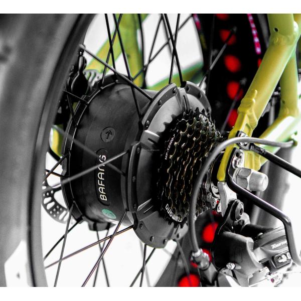 48V Disc Brake Dual Batteries Fat Snow Big Tire Electric Cargo Bicycles for Family 2