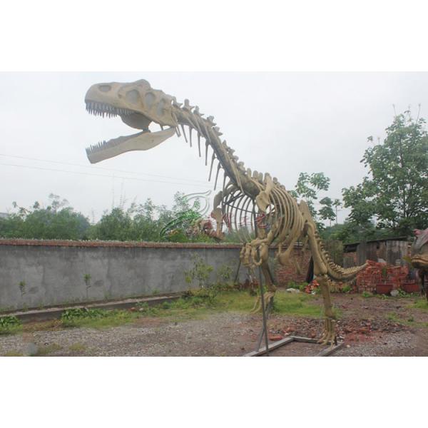 Buy Life Size Fiberglass Complete Dinosaur Fossil For Park Exhibition at wholesale prices