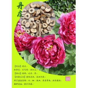 Quality New Arrival 98% paeoniflorin chinese herbaceous peony extract powder for sale