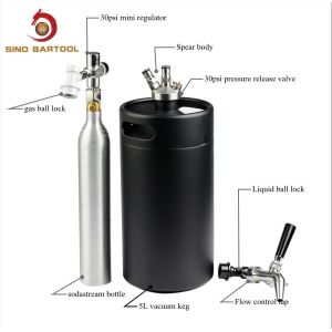 Insulated Ball Lock Mini Keg Tap System With Sodasteam Bottle