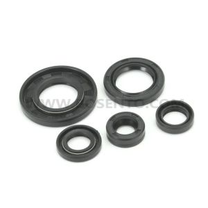 Original Motorcycle Rubber Full Oil Seal YBR125 XT125 TT-R125