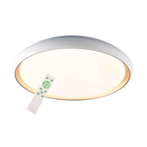 LED Ceiling lamp Powered by Tuya smart(LD-MNSR45-510)