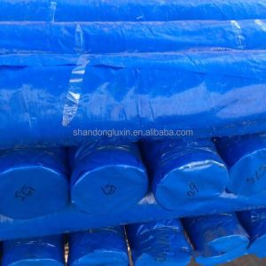 Printed Pattern Pe Tarpaulin 100% Virgin Outdoor Tarpaulin Plastic Tarps