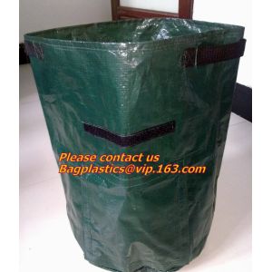 vegetables, fruits, seeds, bedding plants, tomatoes, peppers, cucumbers, tree