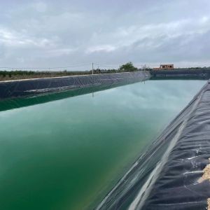 Waterproof HDPE Geomembrane Industrial Design Style for Aquaculture Fish Pond