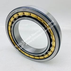 FAG Cylindrical Roller Bearings NU1022-XL-M1-C3