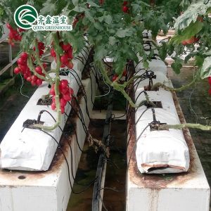 PO Tower Garden for Vegetable Fruits Flowers Budget-Friendly Agricultural