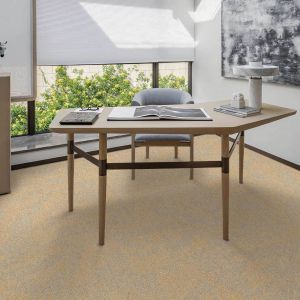 Office Easy-Clean Loop Pile Carpet Tiles CHui Series