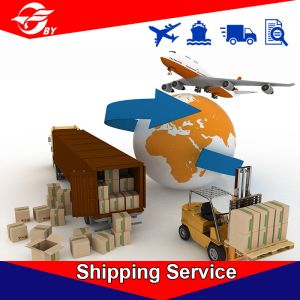 China Door To Door DDP Delivery Services Qingdao To Calgary Montreal Seatlle on sale