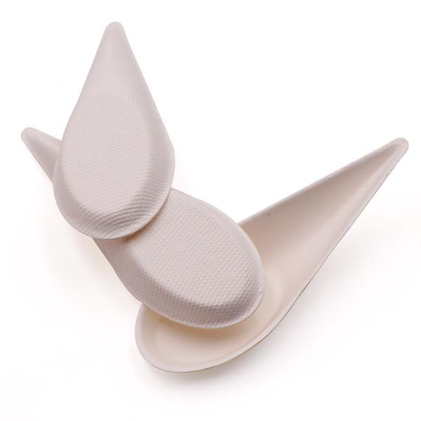 Biodegradable tear drop spoon shape sugarcane fruit dish disposable bagasse