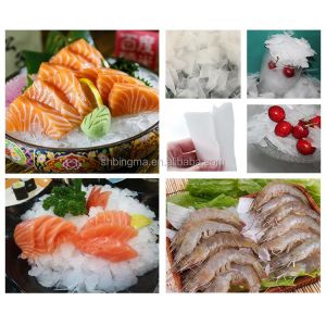 High Productivity 10T/24H Industrial Ice Flake Making Machine for Fishing