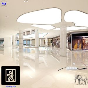 Long Lasting LED Emergency Lighting Kit Driver Power Supply Battery Ballast for