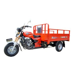 China Tri Wheel Motorized Cargo Tricycle for Loading Heavy Goods 1.8M*1.25M Cargo Box on sale