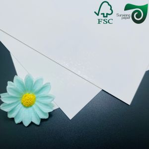 Single Side Coating Ivory Board With Roll Width And 100% Virgin Wood Pulp