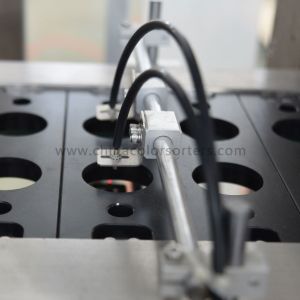 Biodegradable 0.8Mpa Coffee Capsule Filling Machine