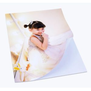 A3 135gsm Self Adhesive Inkjet Photo Paper For Albulm