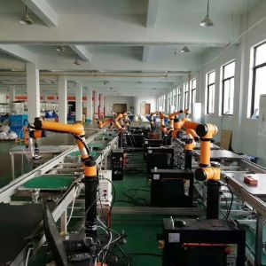 Aubo I5 Collaborative Robot Palletizing Robotic Arm Cobot With Robotic Gripper