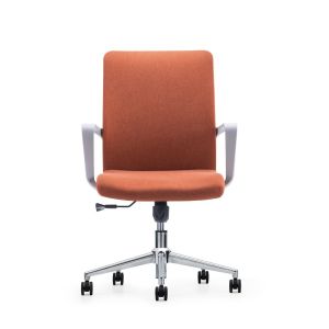 Modern Leisure Mesh Office Chair with Executive Back Support and Free Sample