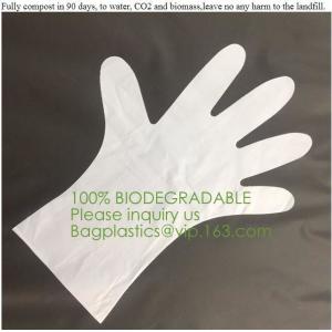 Biodegradable and compostable PLA gloves,OEM cheap biodegradable kitchen