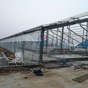 Quality Prefabricated Steel Structure Cow Shed Customized Steel Frame Shed for sale