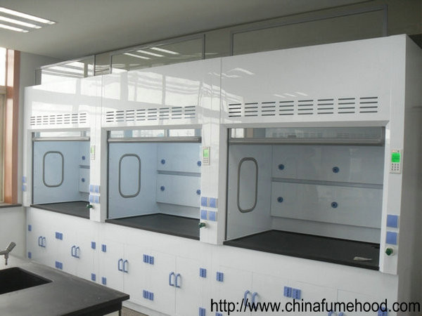 Buy High Standard FRP Lab Fume Hood in Laboratory Furniture From China Lab Factory at wholesale prices