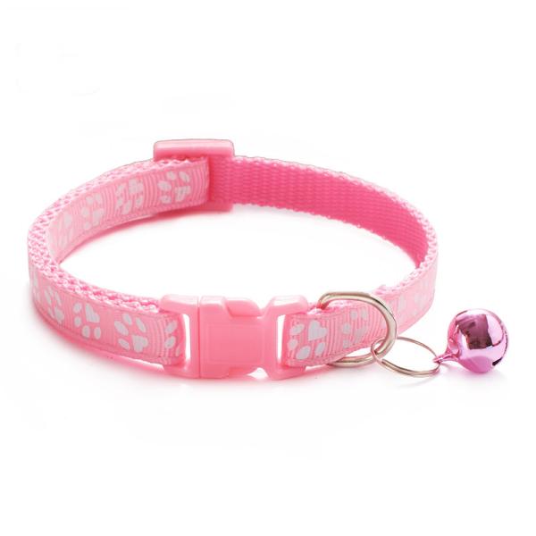 kitten e collar