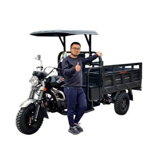 DAYANG Prince Grey Motorized Tricycles with 200CC Engine and 1000kg Loading